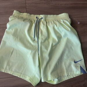 Nike Light Green and Gray Sports Shorts